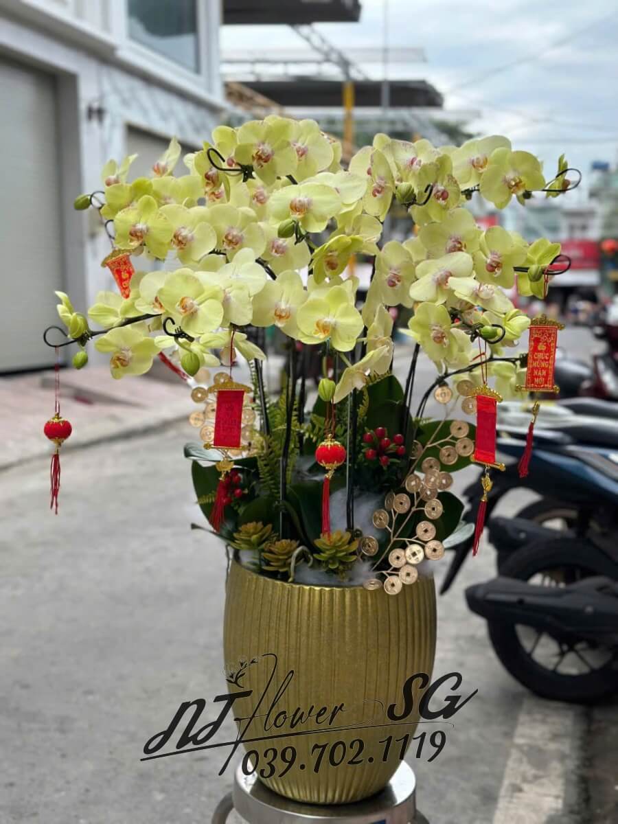 Lan Hồ Điệp 001