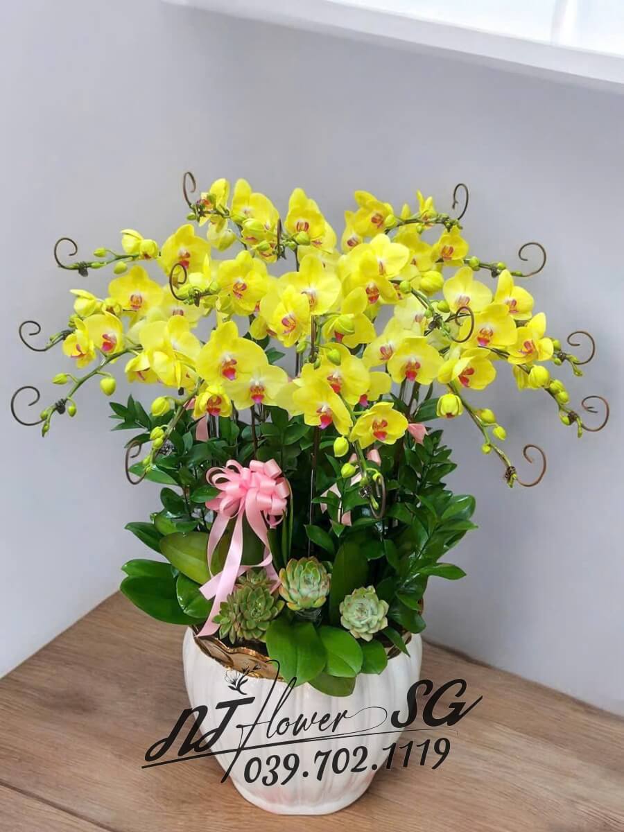 Lan Hồ Điệp 007