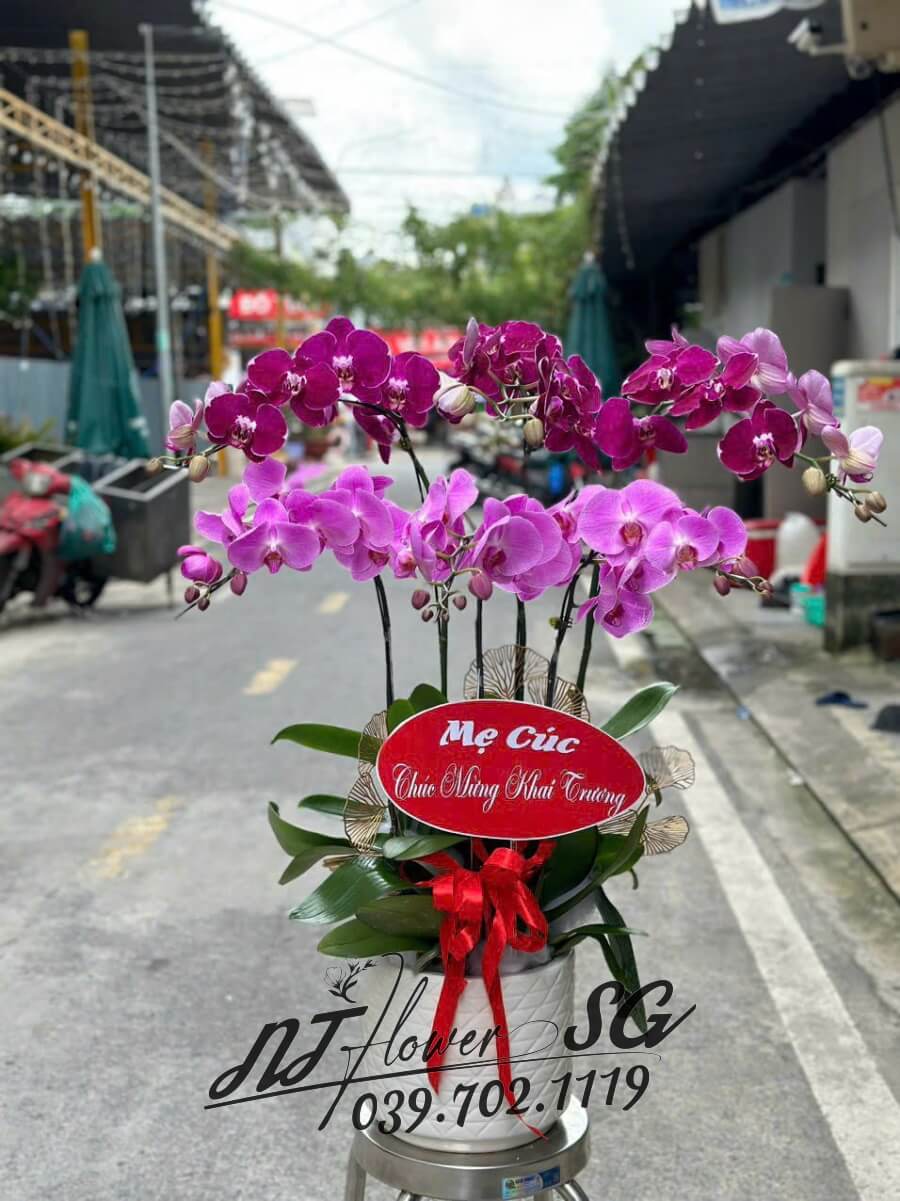 Lan Hồ Điệp 011